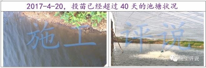 中國養殖基地 yzjidi.com
