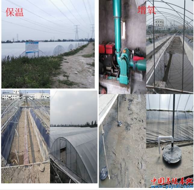 中國養殖基地 yzjidi.com
