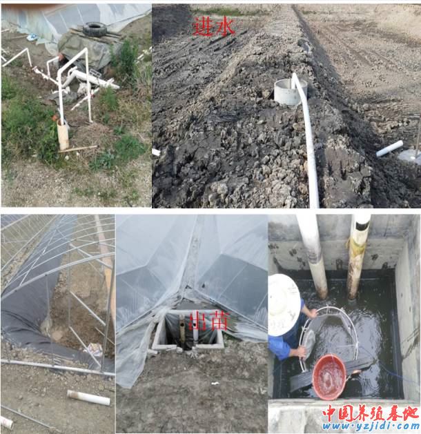 中國養殖基地 yzjidi.com