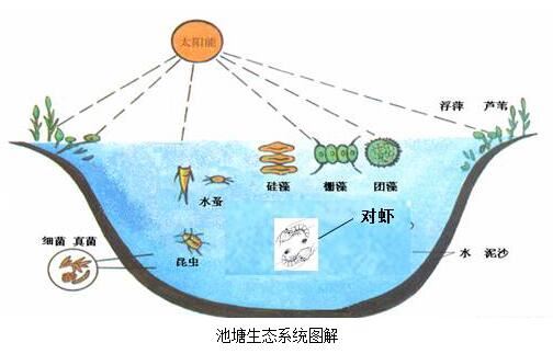中國養殖基地 yzjidi.com