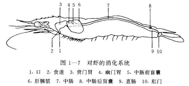 中國養殖基地 yzjidi.com