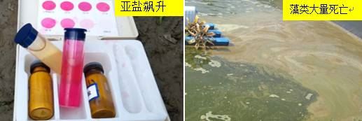 中國養殖基地 yzjidi.com