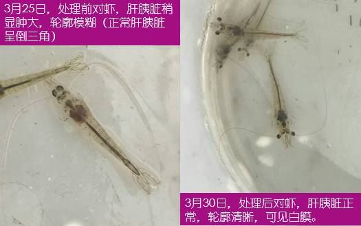 中國養殖基地 yzjidi.com