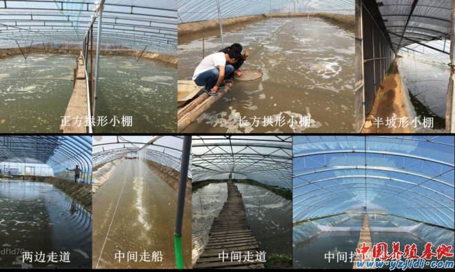 中國養殖基地 yzjidi.com