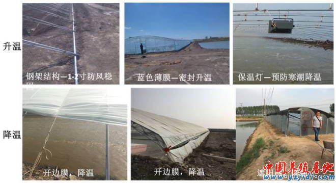 中國養殖基地 yzjidi.com