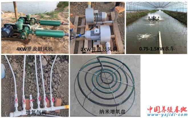 中國養殖基地 yzjidi.com