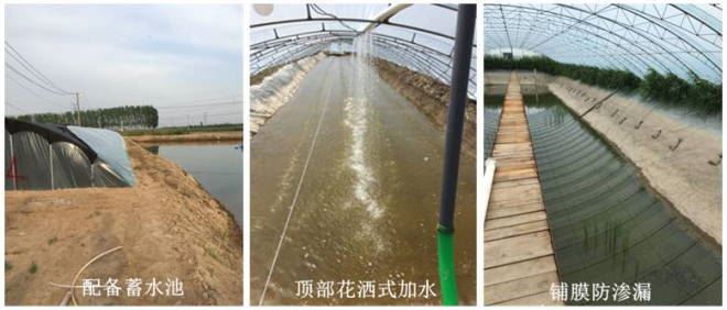 中國養殖基地 yzjidi.com