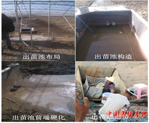 中國養殖基地 yzjidi.com