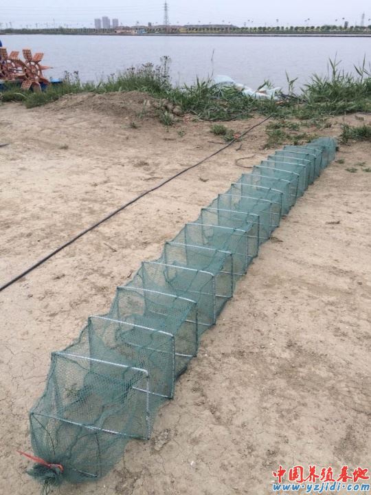 中國養殖基地 yzjidi.com