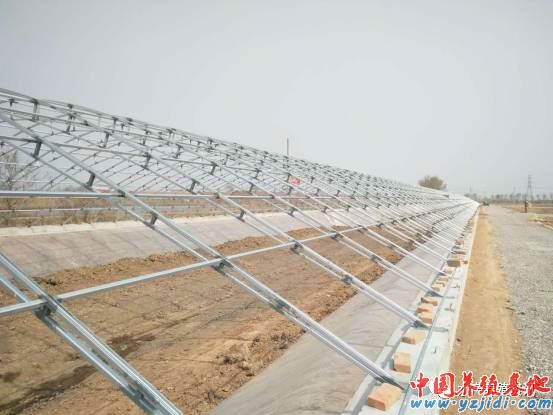 中國養殖基地 yzjidi.com