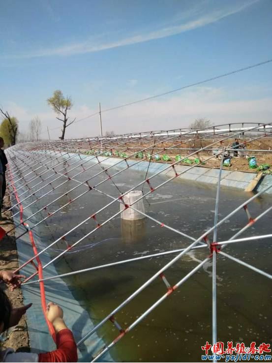 中國養殖基地 yzjidi.com