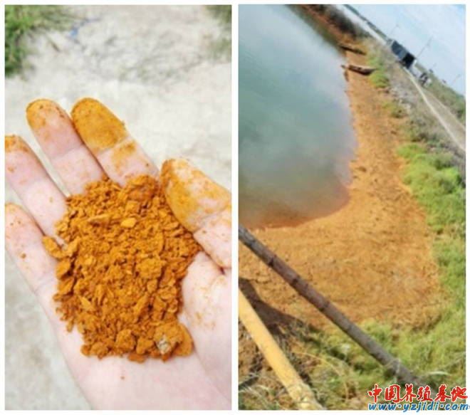中國養殖基地 yzjidi.com