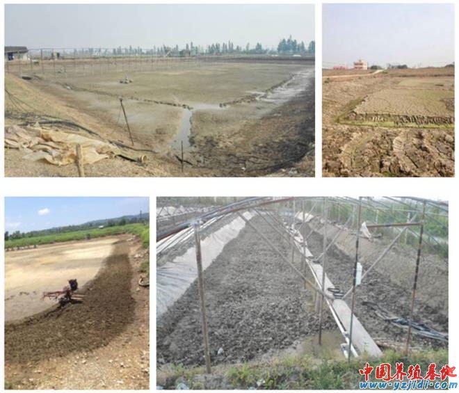 中國養殖基地 yzjidi.com