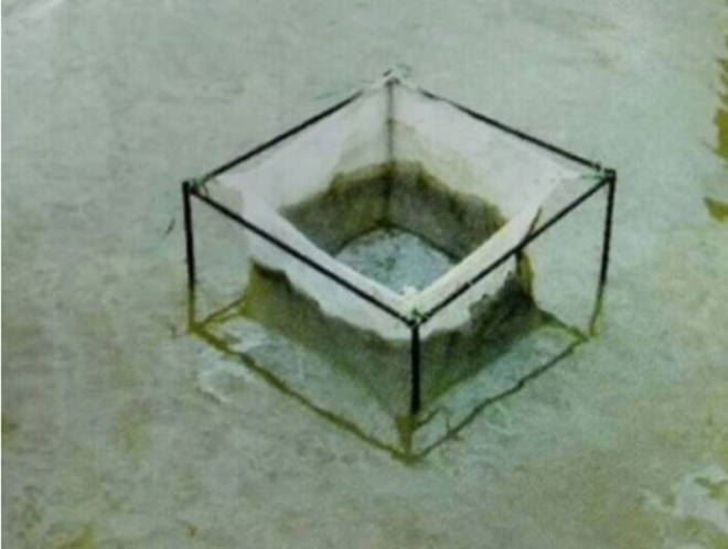 中國養殖基地 yzjidi.com