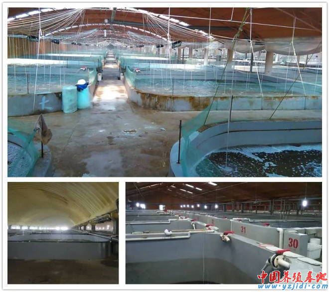 中國養殖基地 yzjidi.com