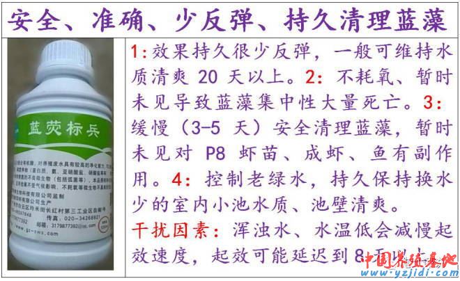 中國養殖基地 yzjidi.com