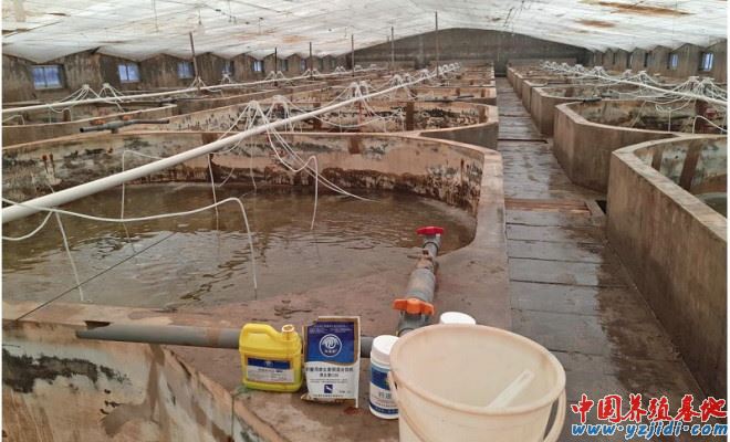 中國養殖基地 yzjidi.com