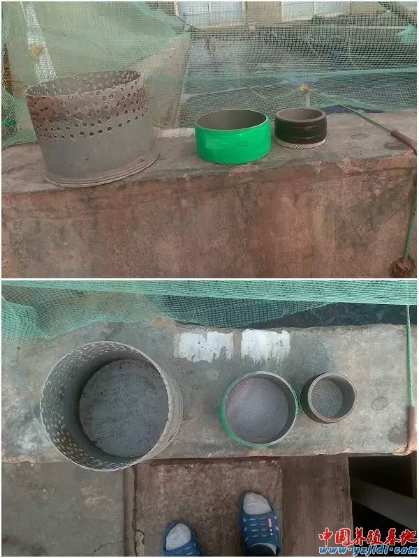 中國養殖基地 yzjidi.com