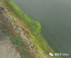 中國養殖基地 yzjidi.com