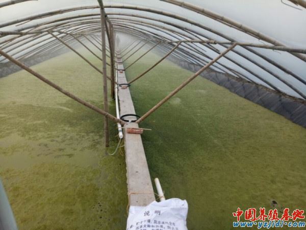 中國養殖基地 yzjidi.com