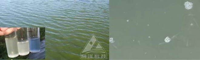 中國養殖基地 yzjidi.com