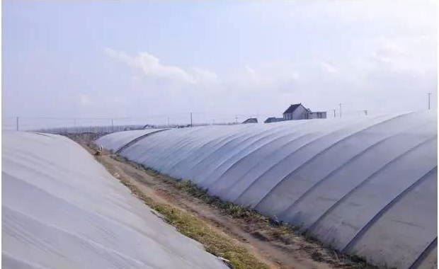 中國養殖基地 yzjidi.com