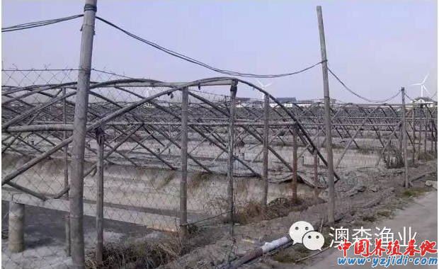 中國養殖基地 yzjidi.com