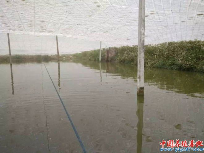 中國養殖基地 yzjidi.com