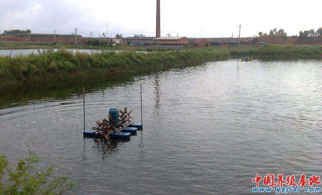 中國養殖基地 yzjidi.com