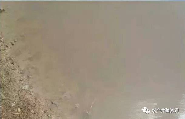 中國養殖基地 yzjidi.com