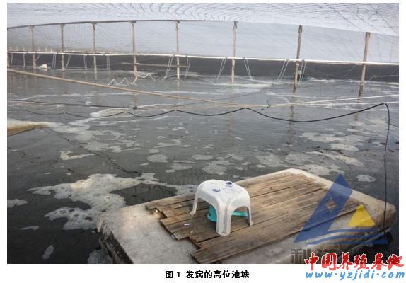 中國養殖基地 yzjidi.com