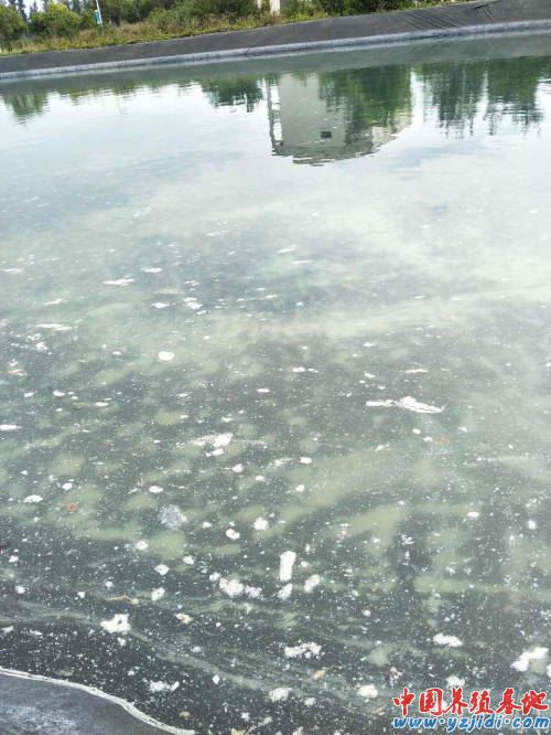 中國養殖基地 yzjidi.com