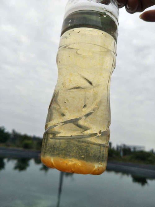 中國養殖基地 yzjidi.com