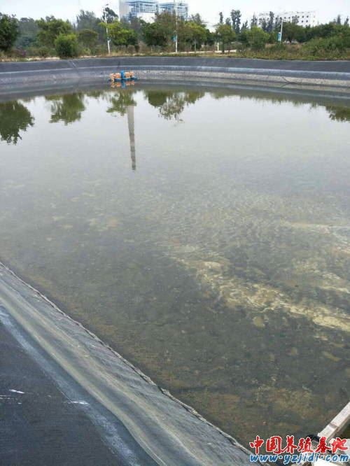中國養殖基地 yzjidi.com