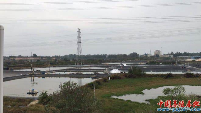 中國養殖基地 yzjidi.com
