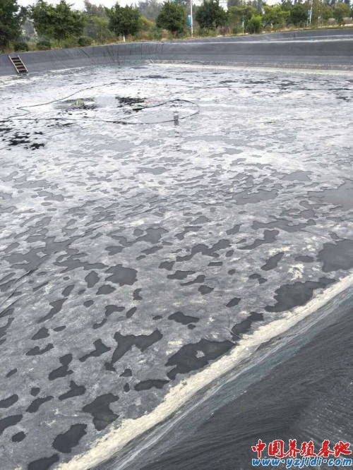 中國養殖基地 yzjidi.com