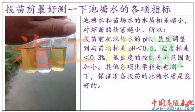 中國養殖基地 yzjidi.com