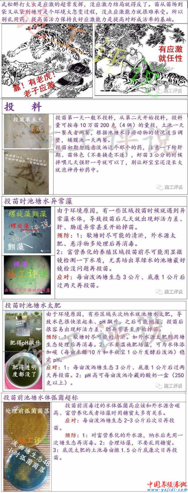 中國養殖基地 yzjidi.com