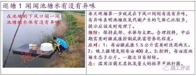 中國養殖基地 yzjidi.com
