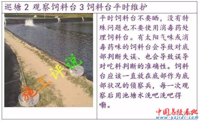 中國養殖基地 yzjidi.com