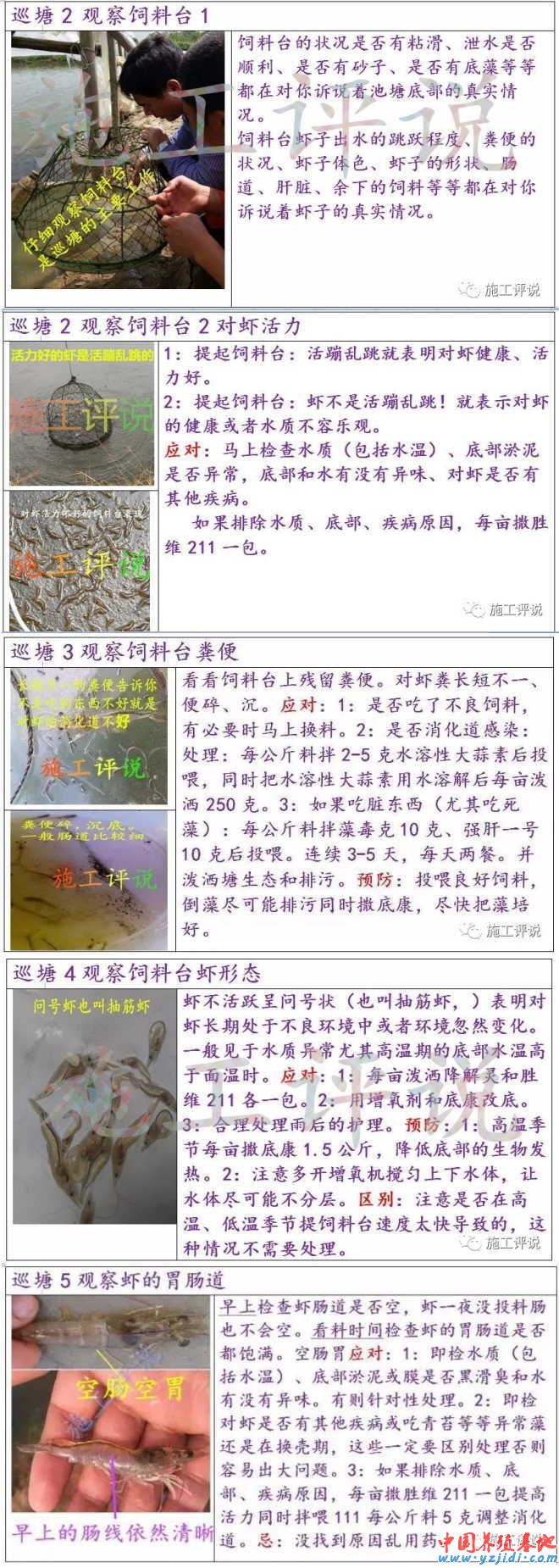 中國養殖基地 yzjidi.com
