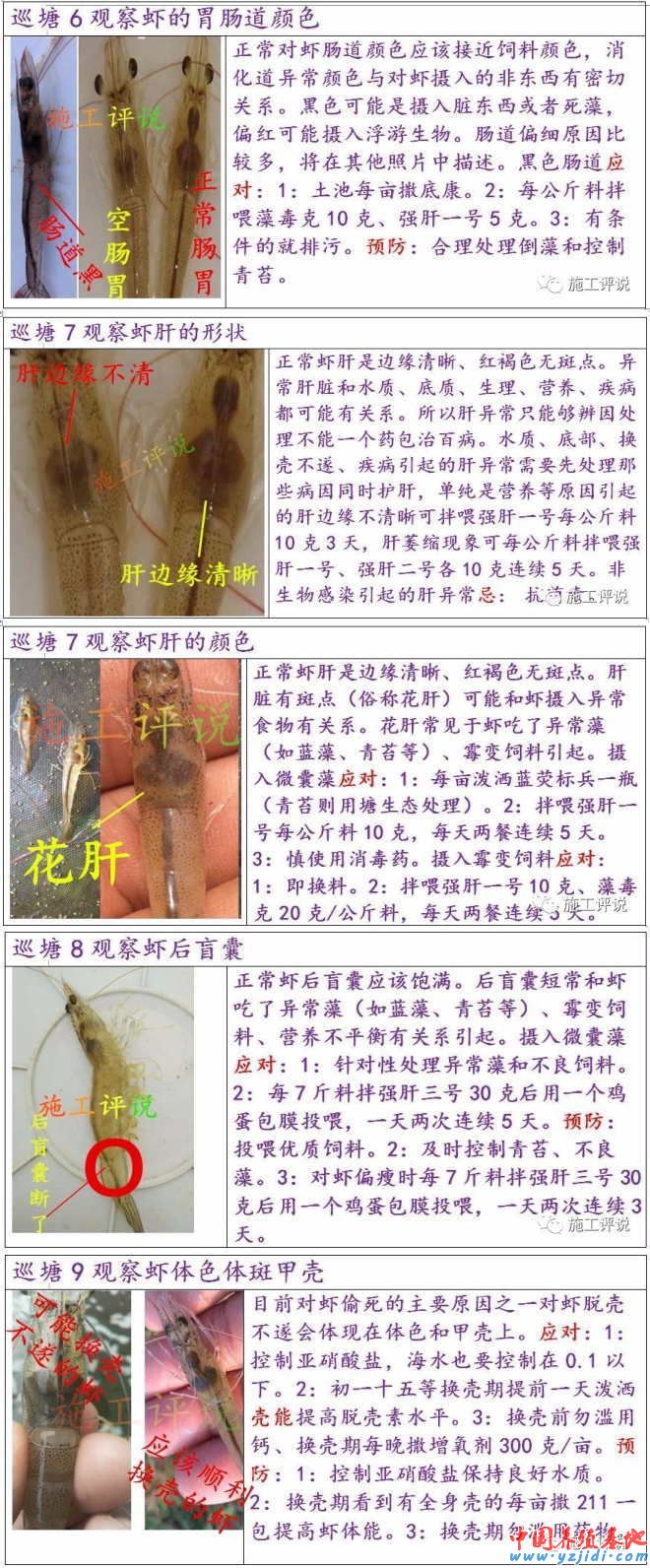 中國養殖基地 yzjidi.com
