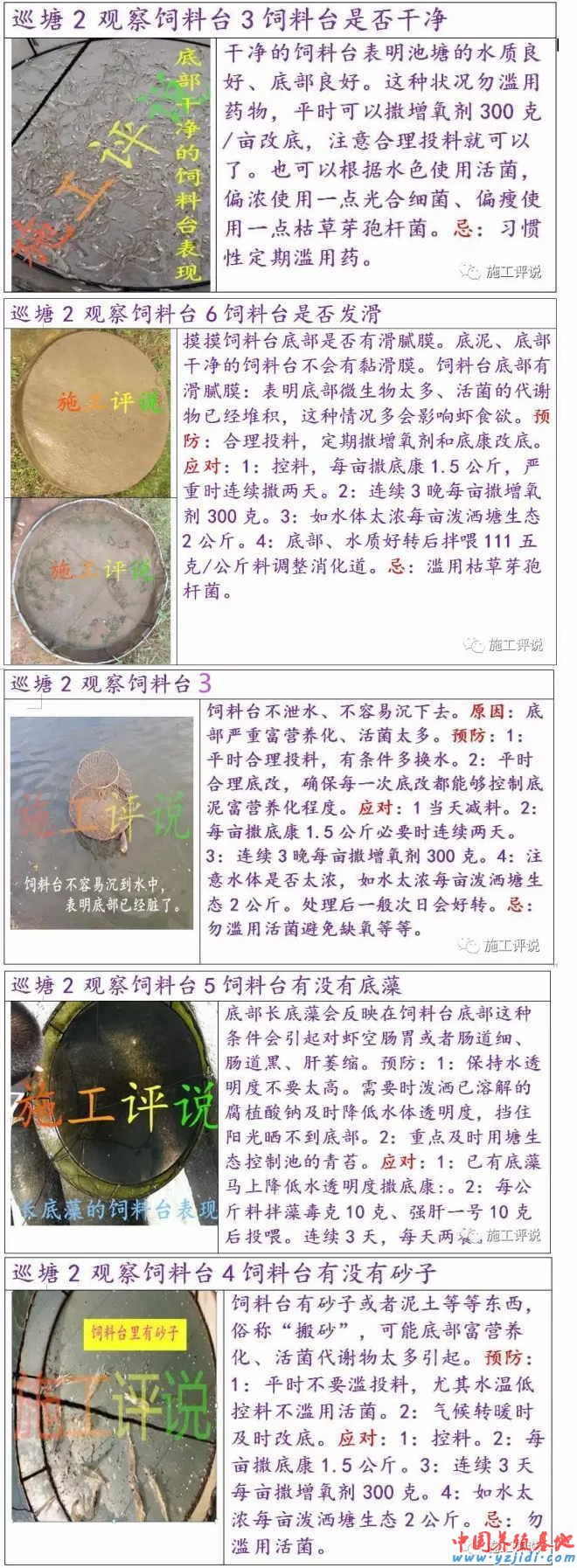 中國養殖基地 yzjidi.com