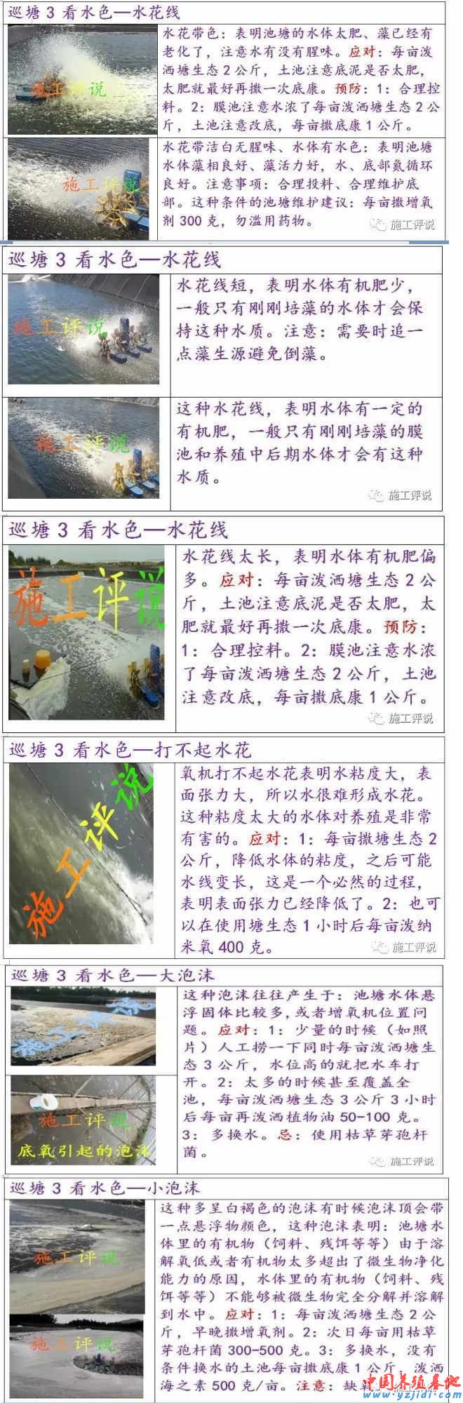 中國養殖基地 yzjidi.com