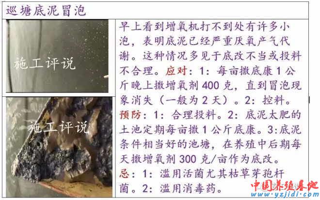 中國養殖基地 yzjidi.com