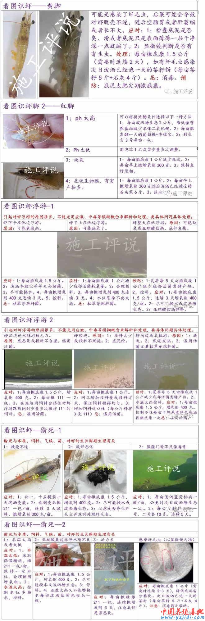 中國養殖基地 yzjidi.com