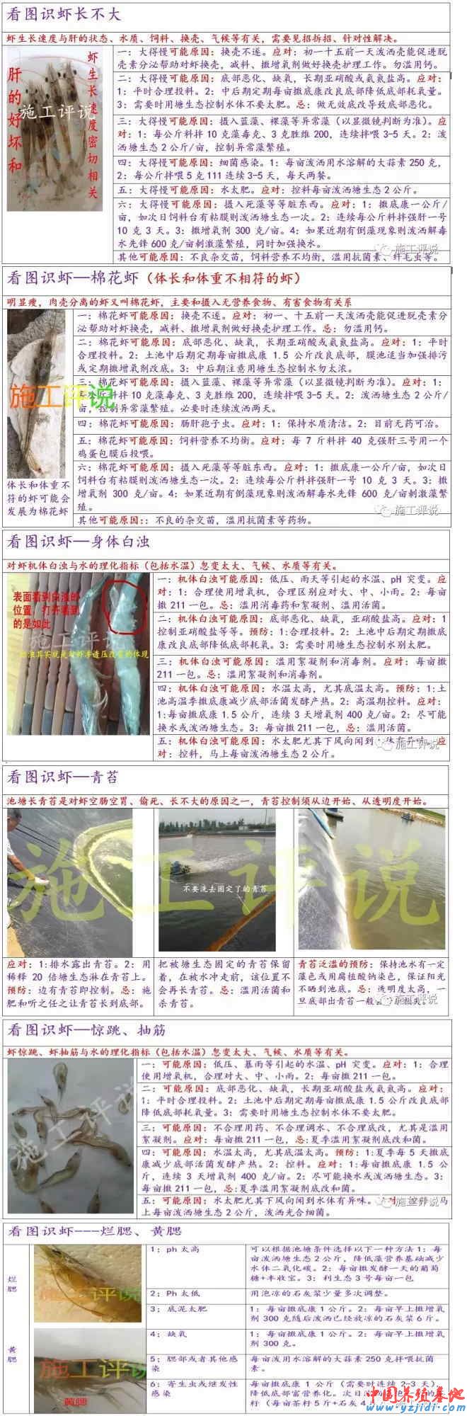 中國養殖基地 yzjidi.com