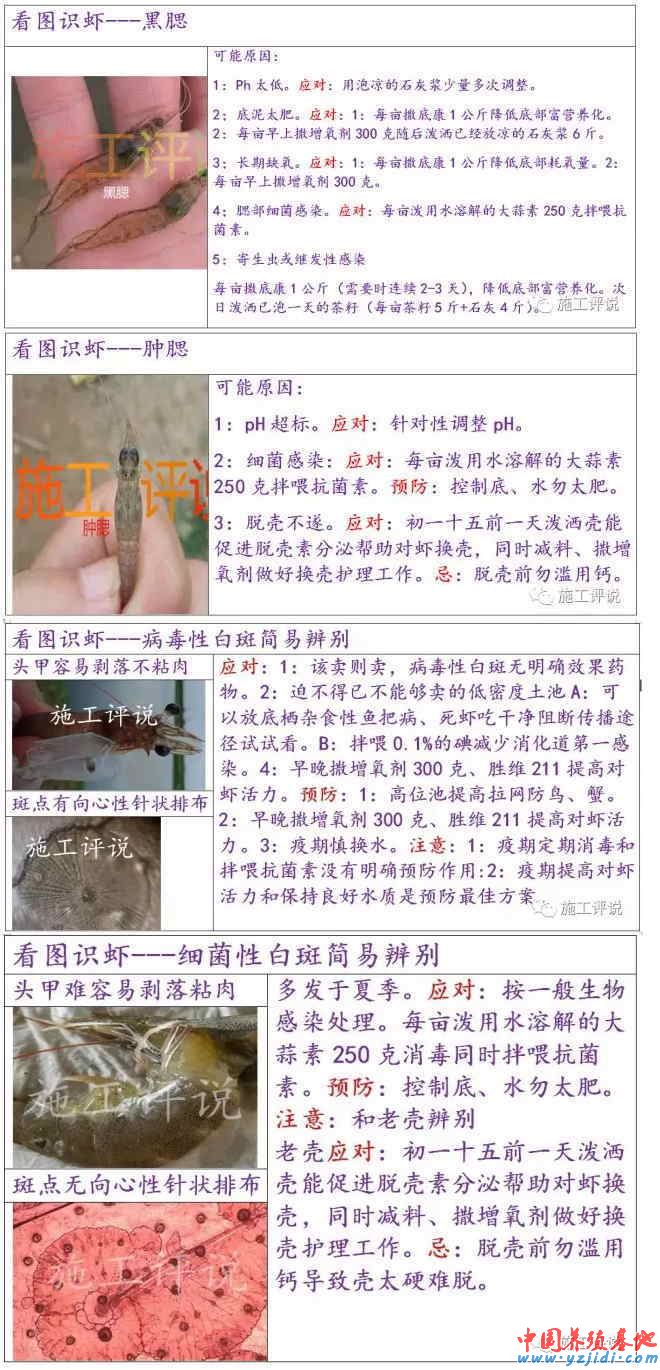 中國養殖基地 yzjidi.com