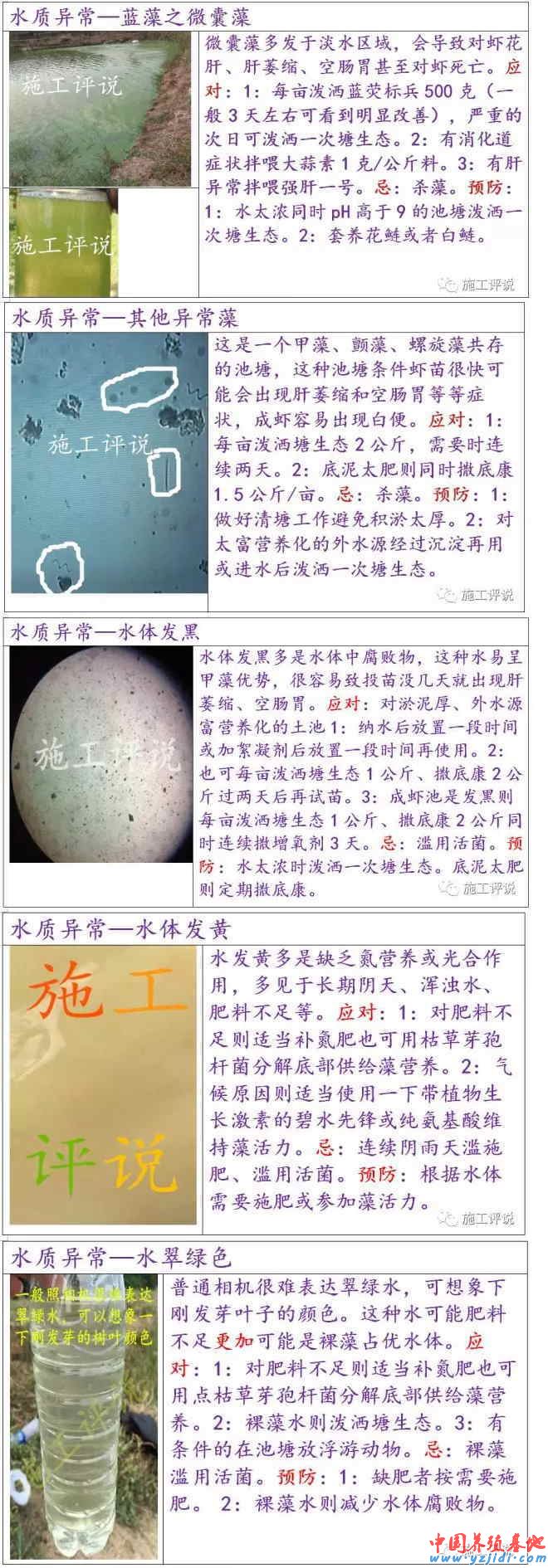 中國養殖基地 yzjidi.com