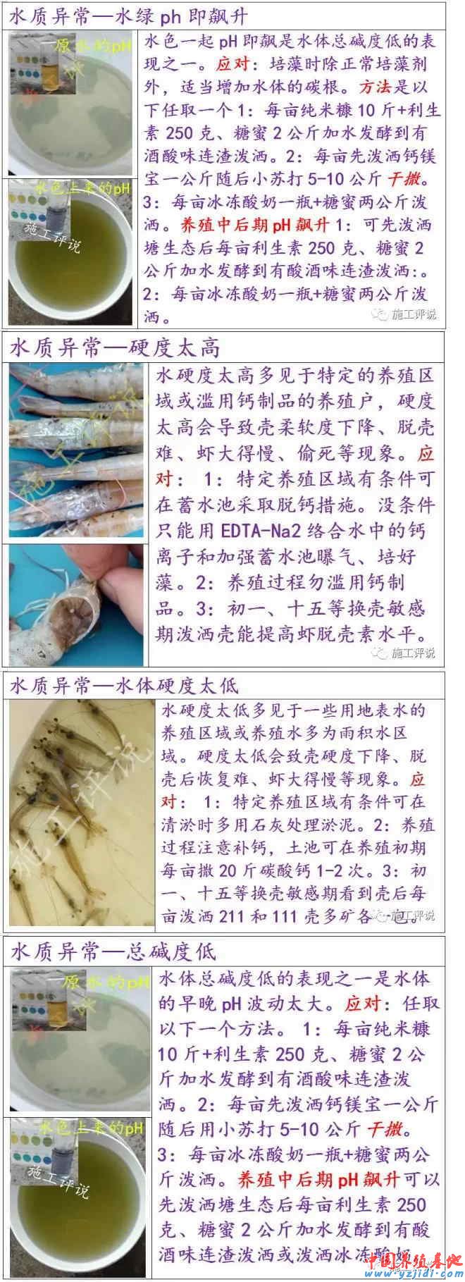 中國養殖基地 yzjidi.com